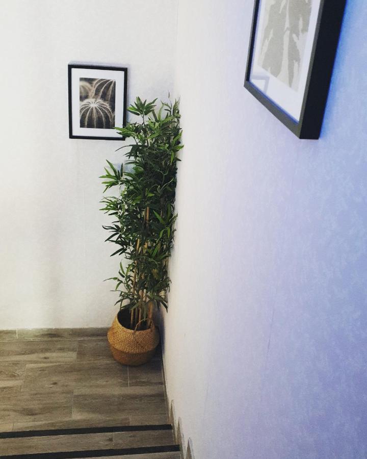 Alojamiento Weier La Cistérniga Esterno foto
